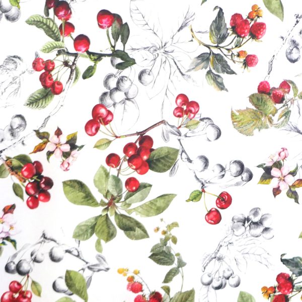 Stain Resistant Tablecloth – Berries Medium 150cm x 250cm